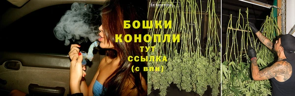 каннабис Богданович