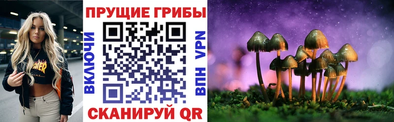 Псилоцибиновые грибы мицелий Туапсе
